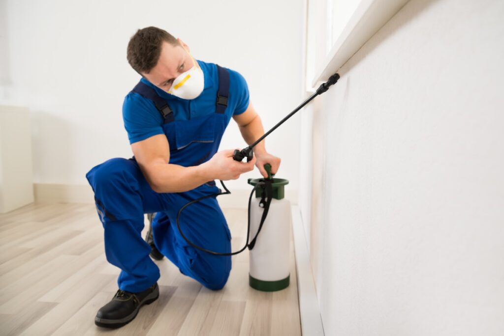 4 Tips For Selecting A Pest Control Professional
